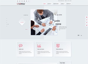 ol_consult