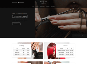 ol_hairdresser