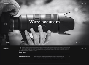 ol_portfolio
